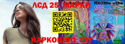 молекула духа Донской