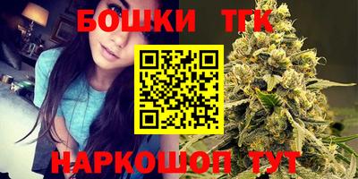 гашик Дубна
