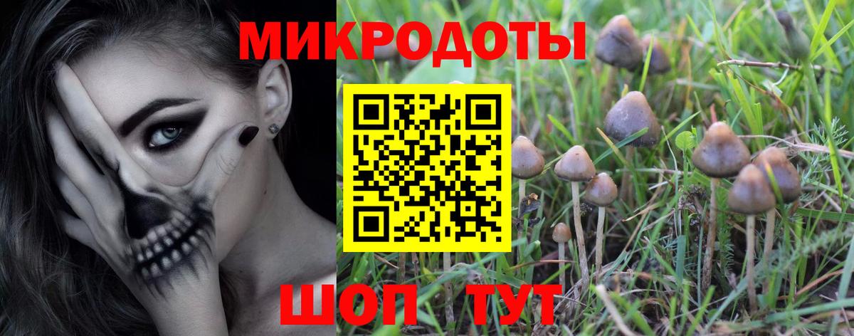 купить   Вход с VPN  Екатеринбург  Галлюциногенные грибы Psilocybe 