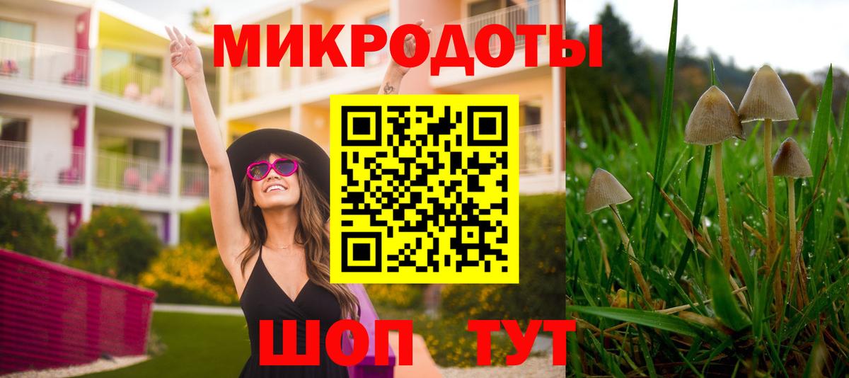 Галлюциногенные грибы MAGIC MUSHROOMS Екатеринбург